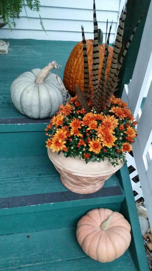 Barclay Cottage Bed And Breakfast Virginia Beach Bagian luar foto